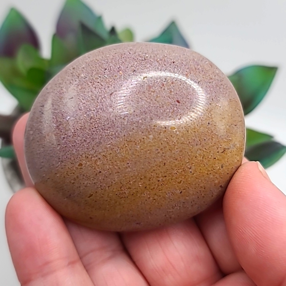 CLEARANCE Ocean Jasper Lavender Palm Stone Z